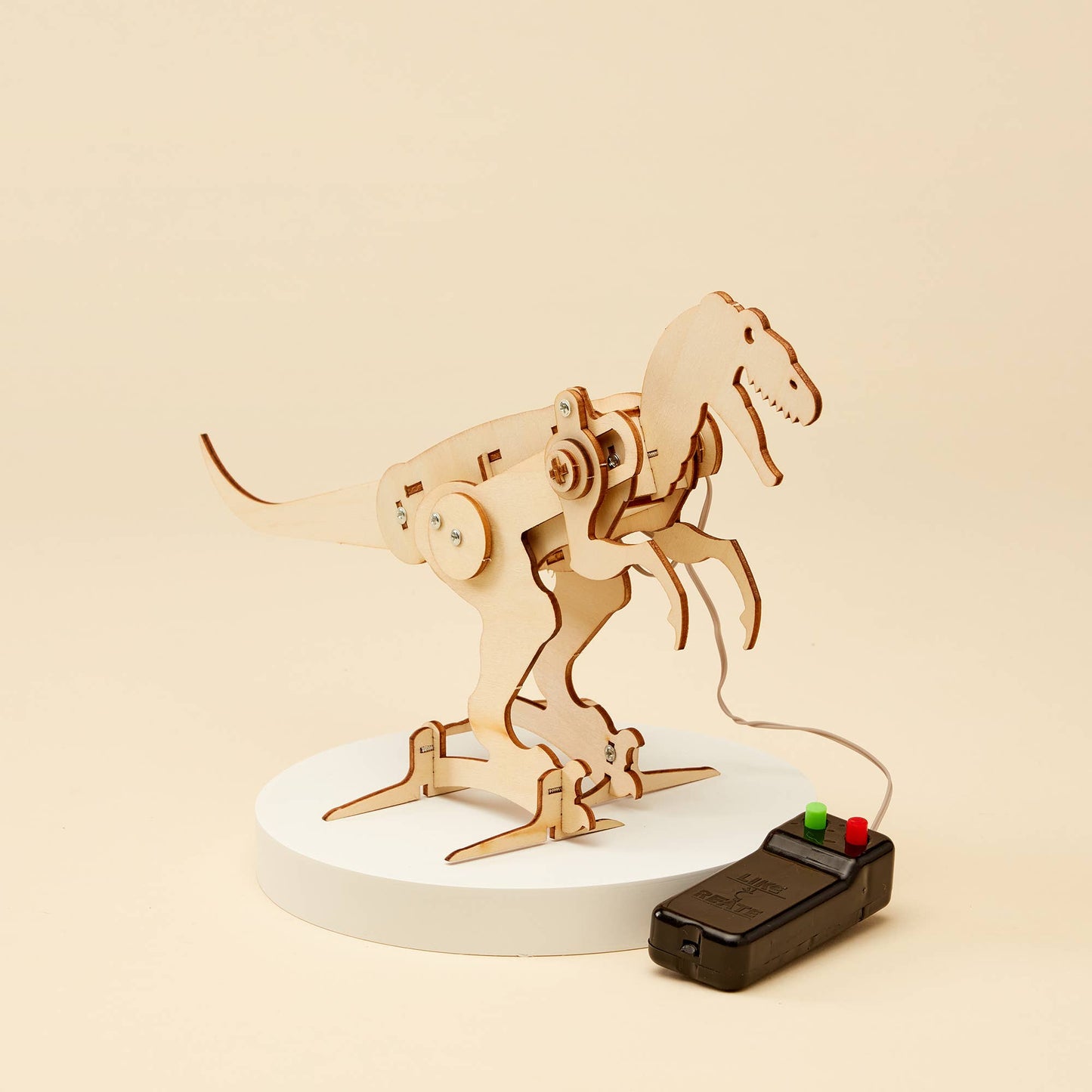 Hands-on electric motor dinosaur craft