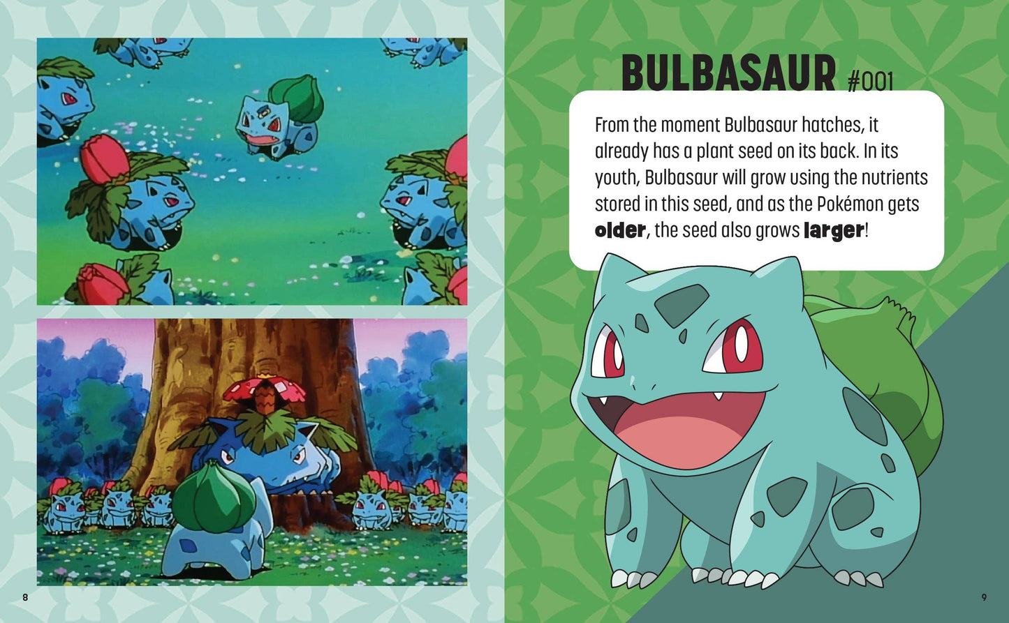 Pokémon: Trainer's Mini Exploration Guide to Kanto