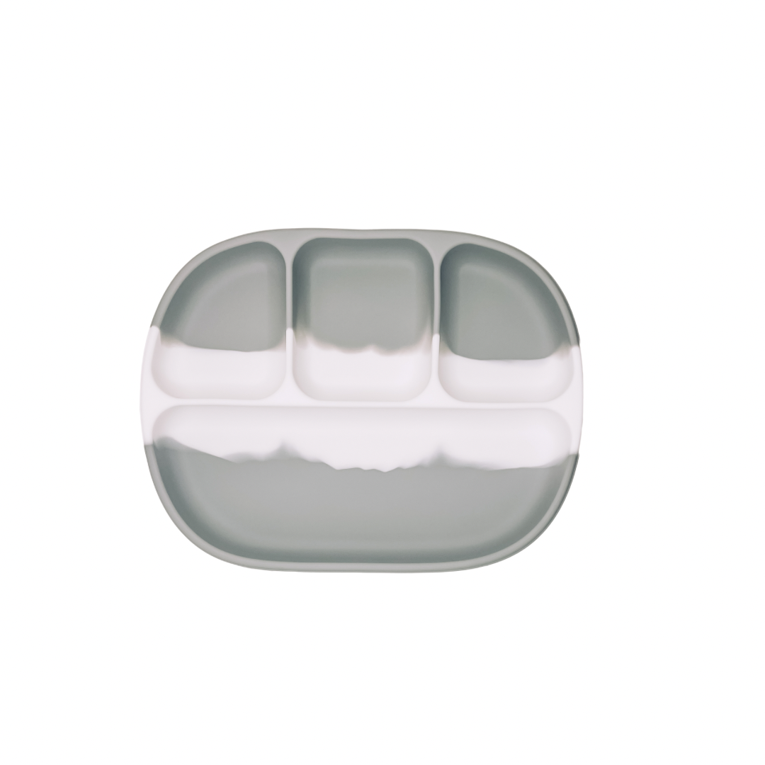 “Dip Plated” 🍽️ Dip Dye 4 Section Suction Plate