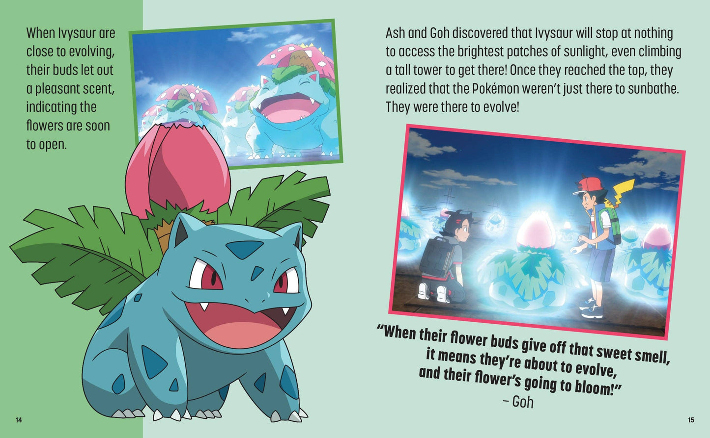 Pokémon: Trainer's Mini Exploration Guide to Kanto