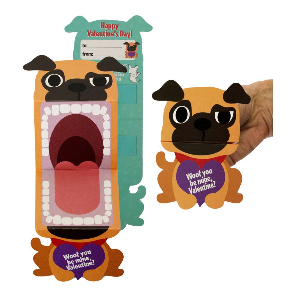 “Talk to the Paw!” 🐶💌 Big Mouth Pet Valentine Cards by CGO