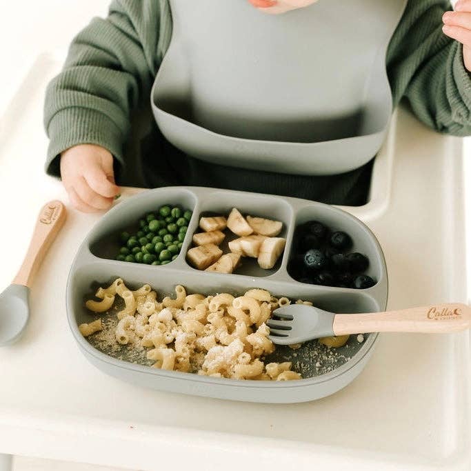 “Dip Plated” 🍽️ Dip Dye 4 Section Suction Plate