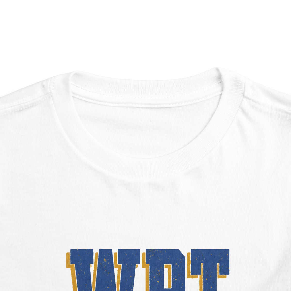 “Old School” 🏫 Vintage Collegiate WRT ECC Toddler Spirit Tee by CGO