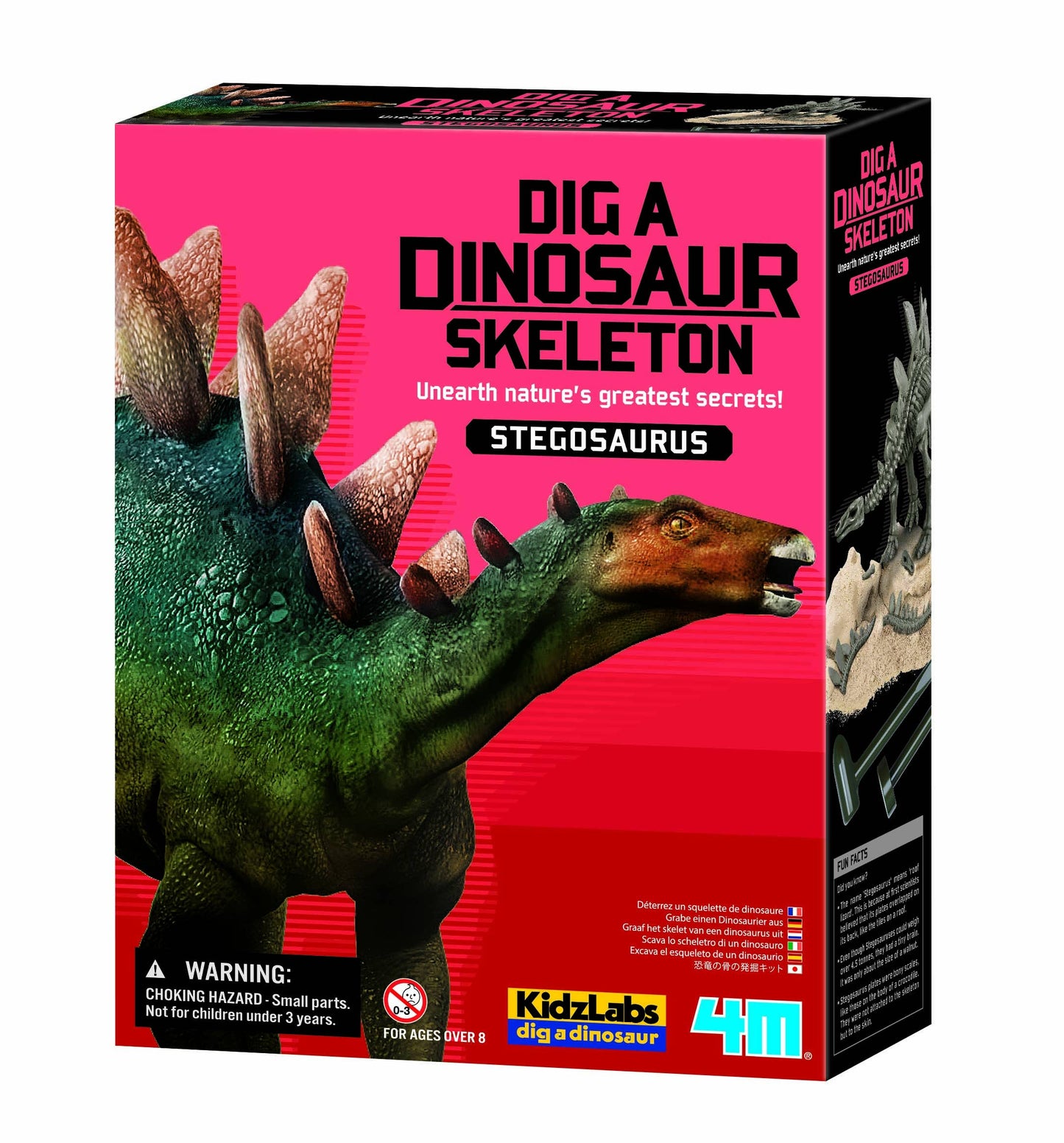Excavate and assemble 8"-9" T-Rex, Triceratops, or Stegosaurus skeleton with excavation kit.
