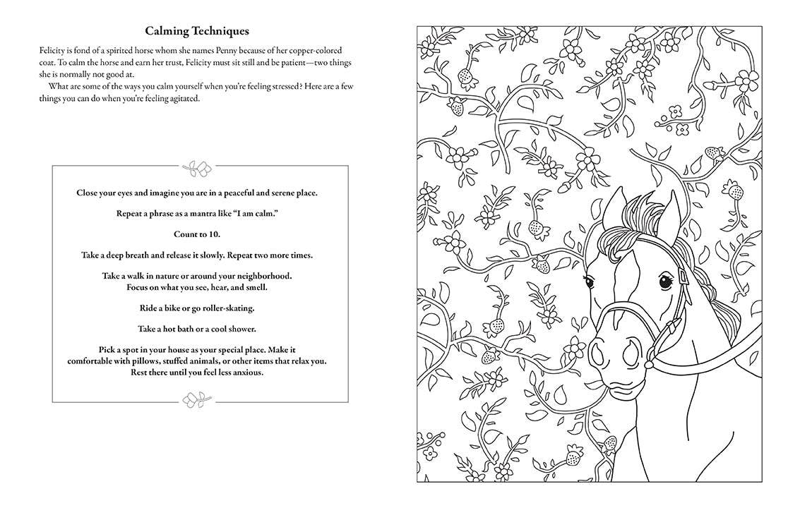 “American Girl” ❤️ Coloring Journal