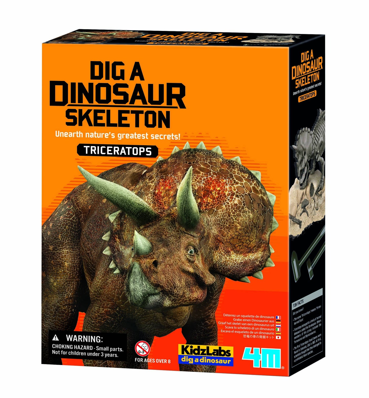 Excavate and assemble 8"-9" T-Rex, Triceratops, or Stegosaurus skeleton with excavation kit.