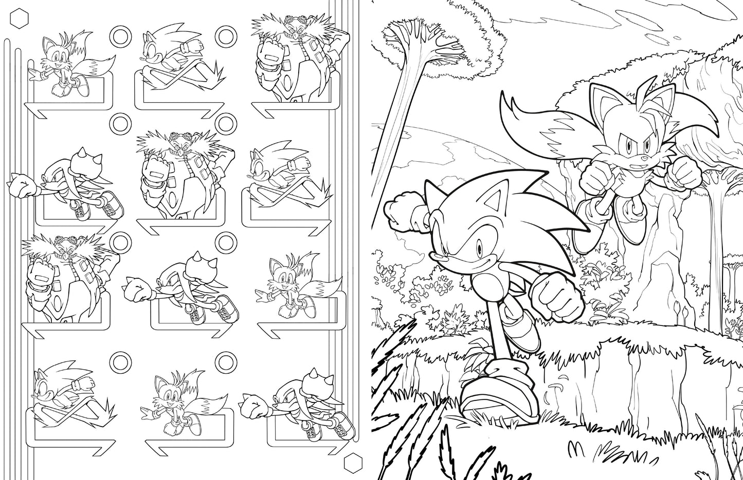 Sonic and Shadow illustrated coloring scene