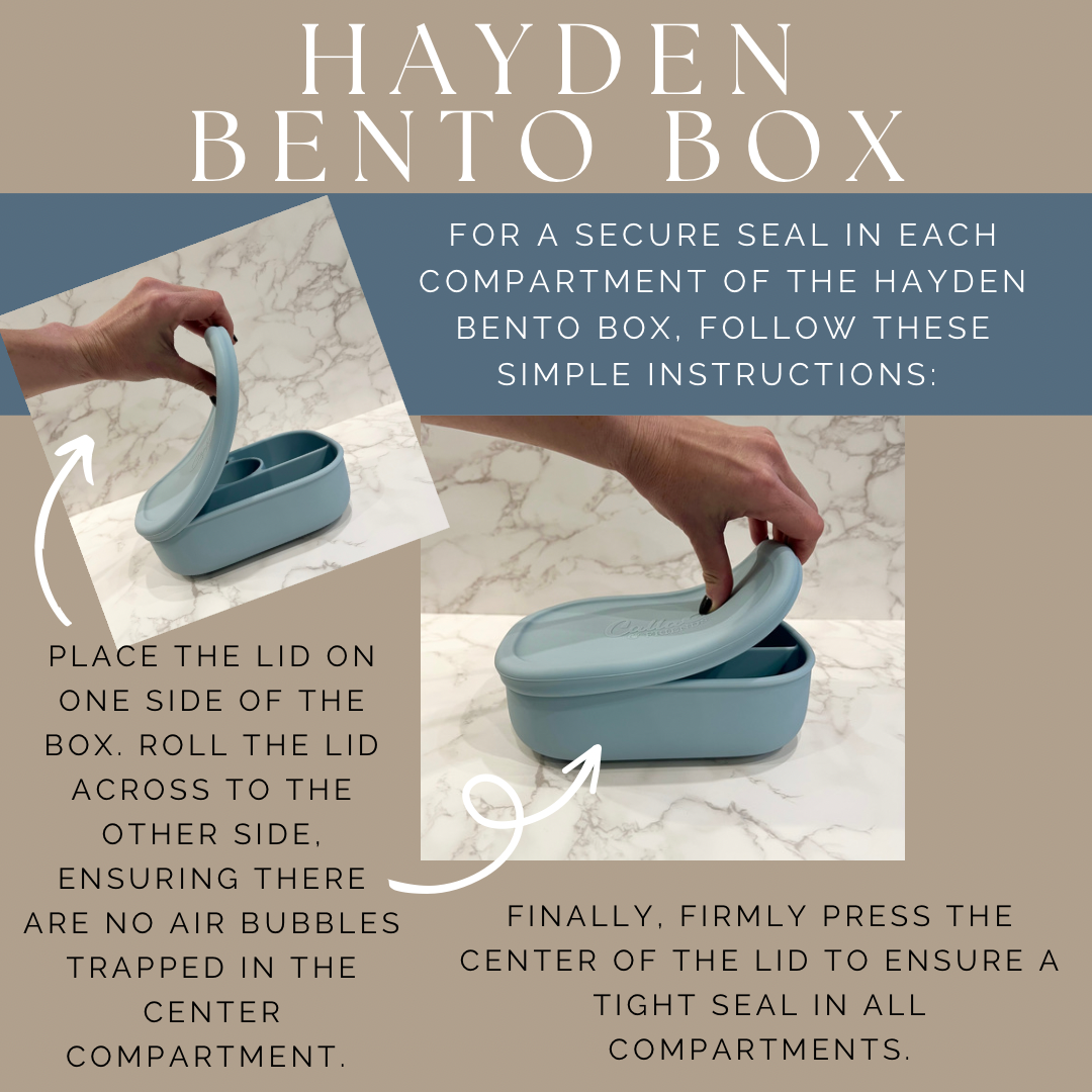 “Dip Dye for your Dip” 🥙 Dip Dye Hayden Bento Box