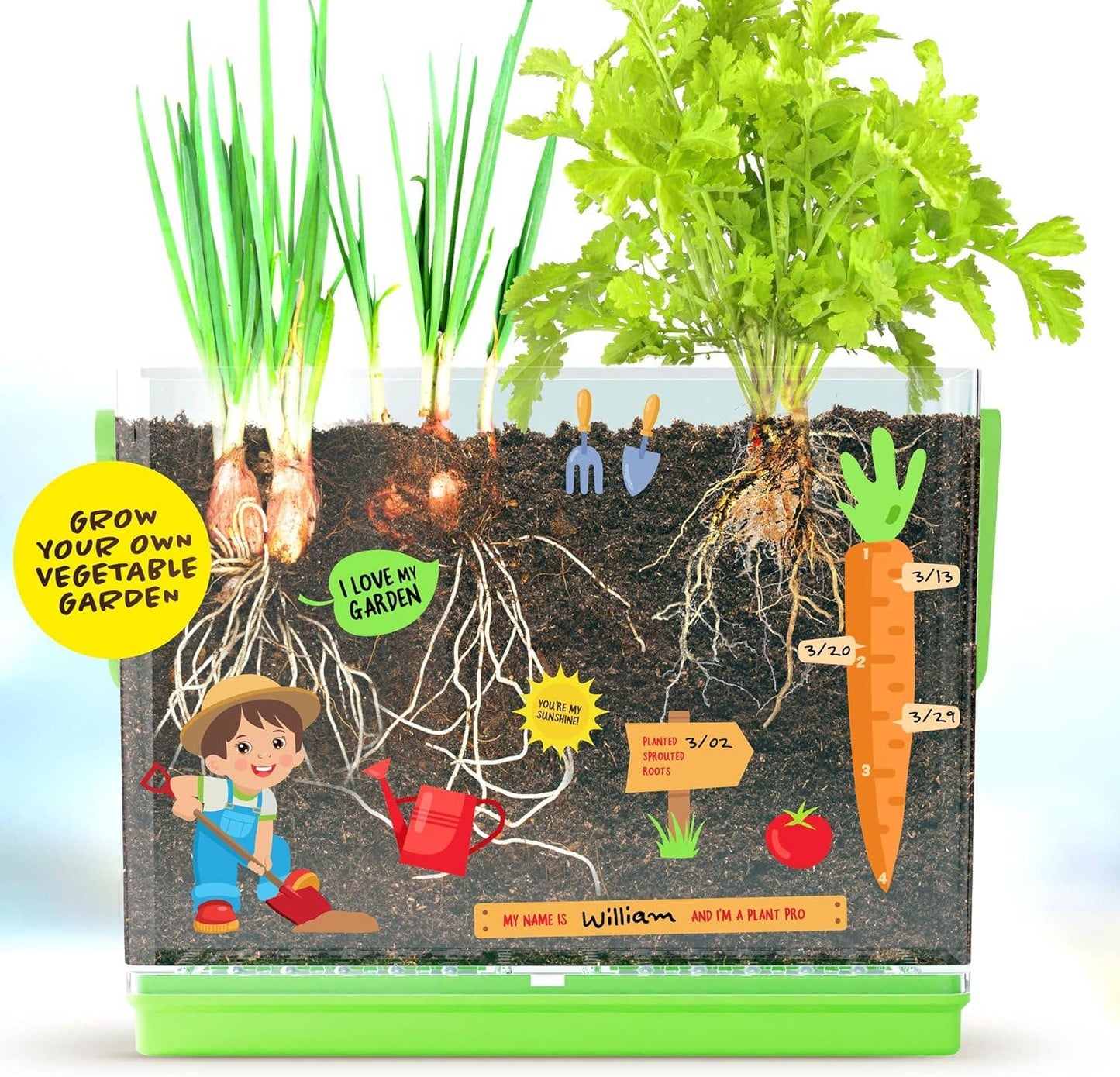 "Down to Earth" 🌱 Root Viewer Science Garden Kit by Dan&Darci