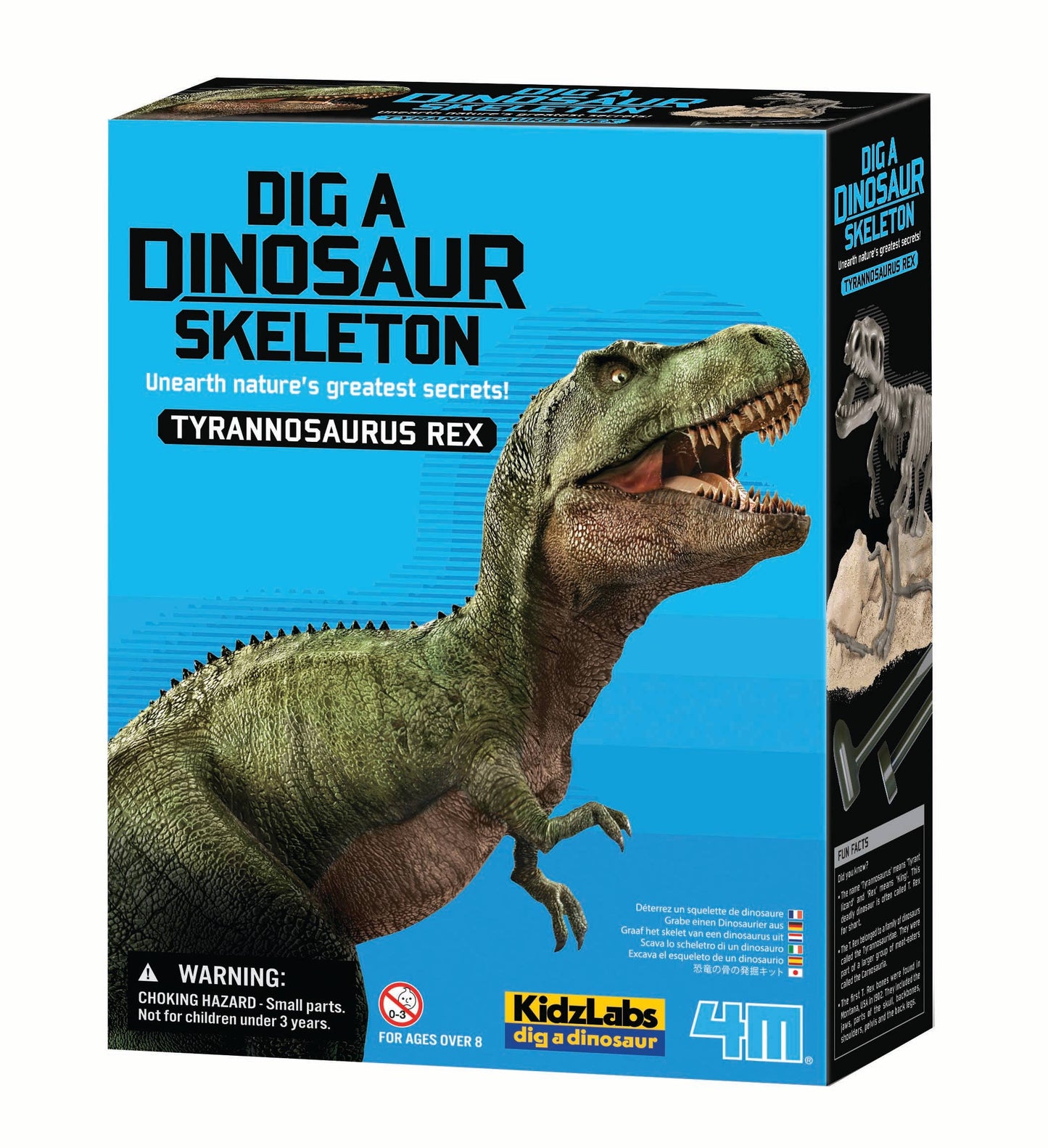Excavate and assemble 8"-9" T-Rex, Triceratops, or Stegosaurus skeleton with excavation kit.