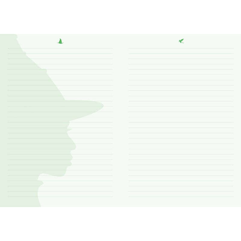 “Spellbinding Scribbles” 💚💖 Reversible Wicked Journal by Insight Editions