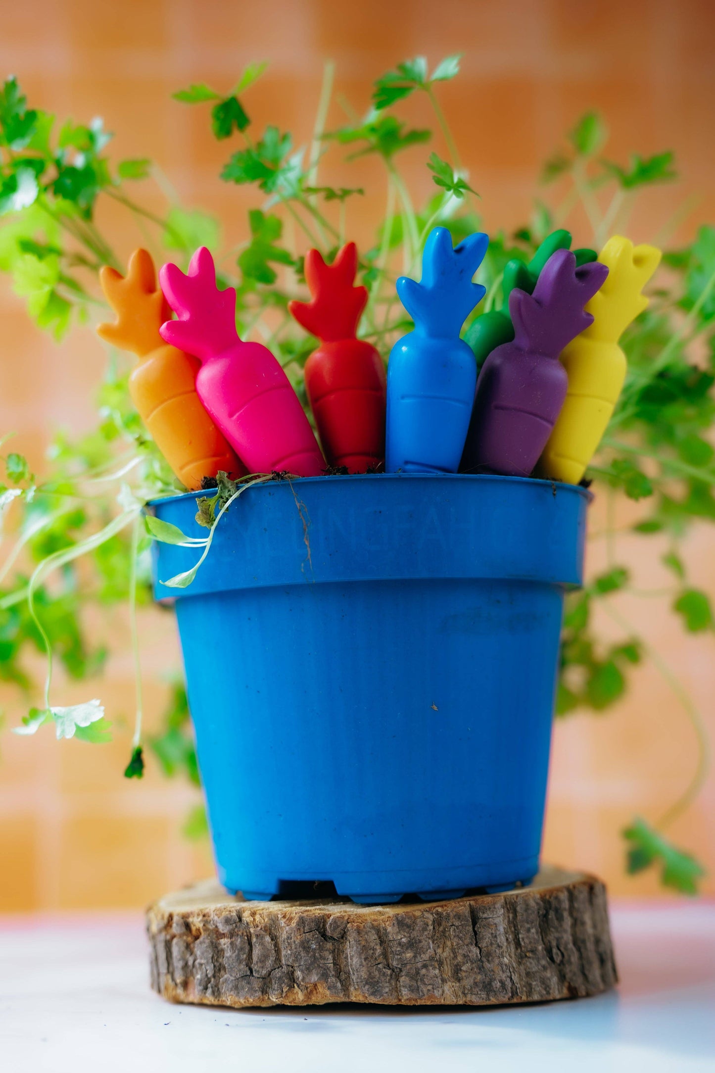 "Some-Bunny's Favorite" 🥕 Carrot-Shaped Crayons by Wonder Hue Crayon Co.