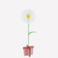 "Bloom Boom" 🌸 Large Stand-Up Flower Decorations by Meri Meri