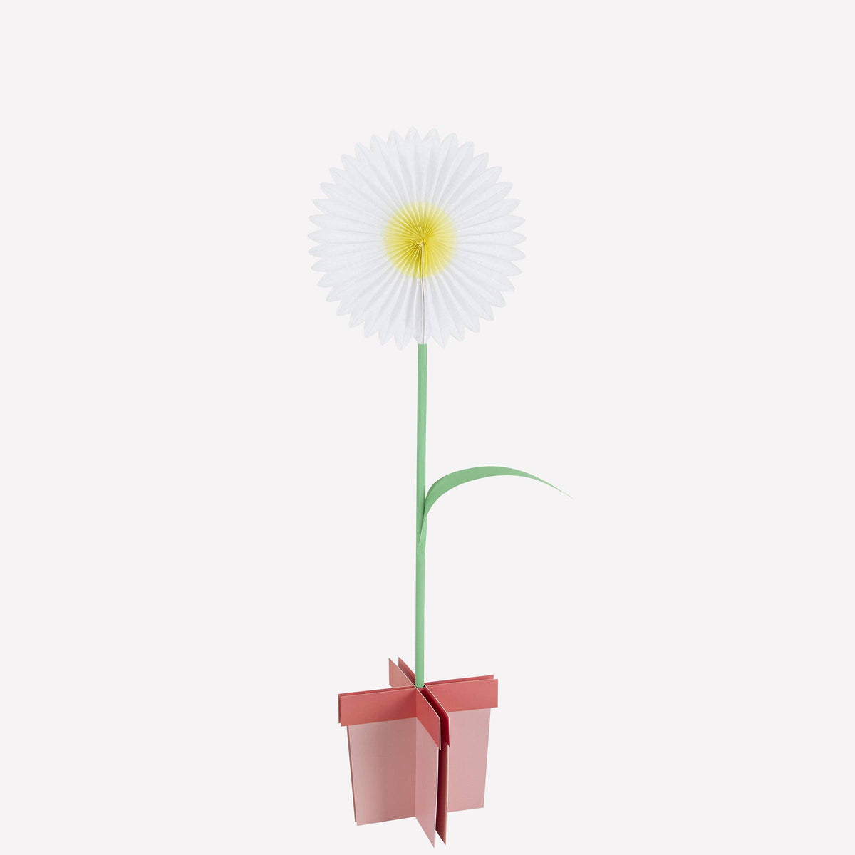 "Bloom Boom" 🌸 Large Stand-Up Flower Decorations by Meri Meri