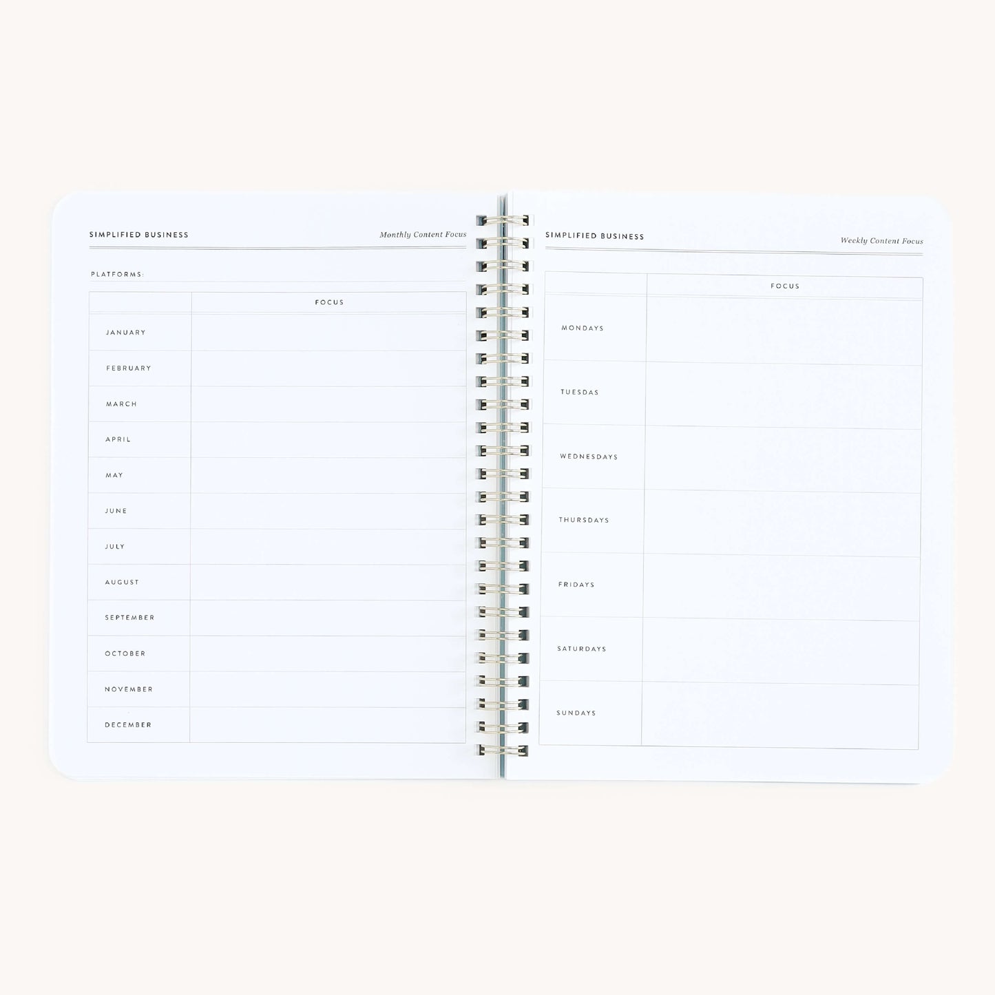 Workbook, Entrepreneurship
