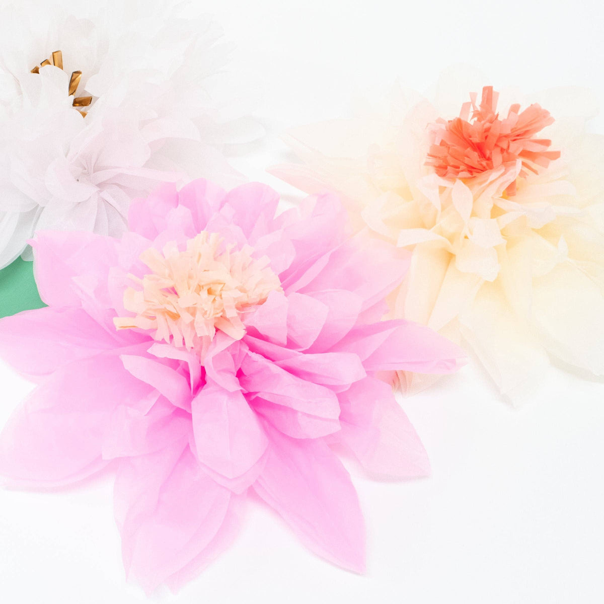 "Flower Power" 🌸 Garden Giant Garland by Meri Meri
