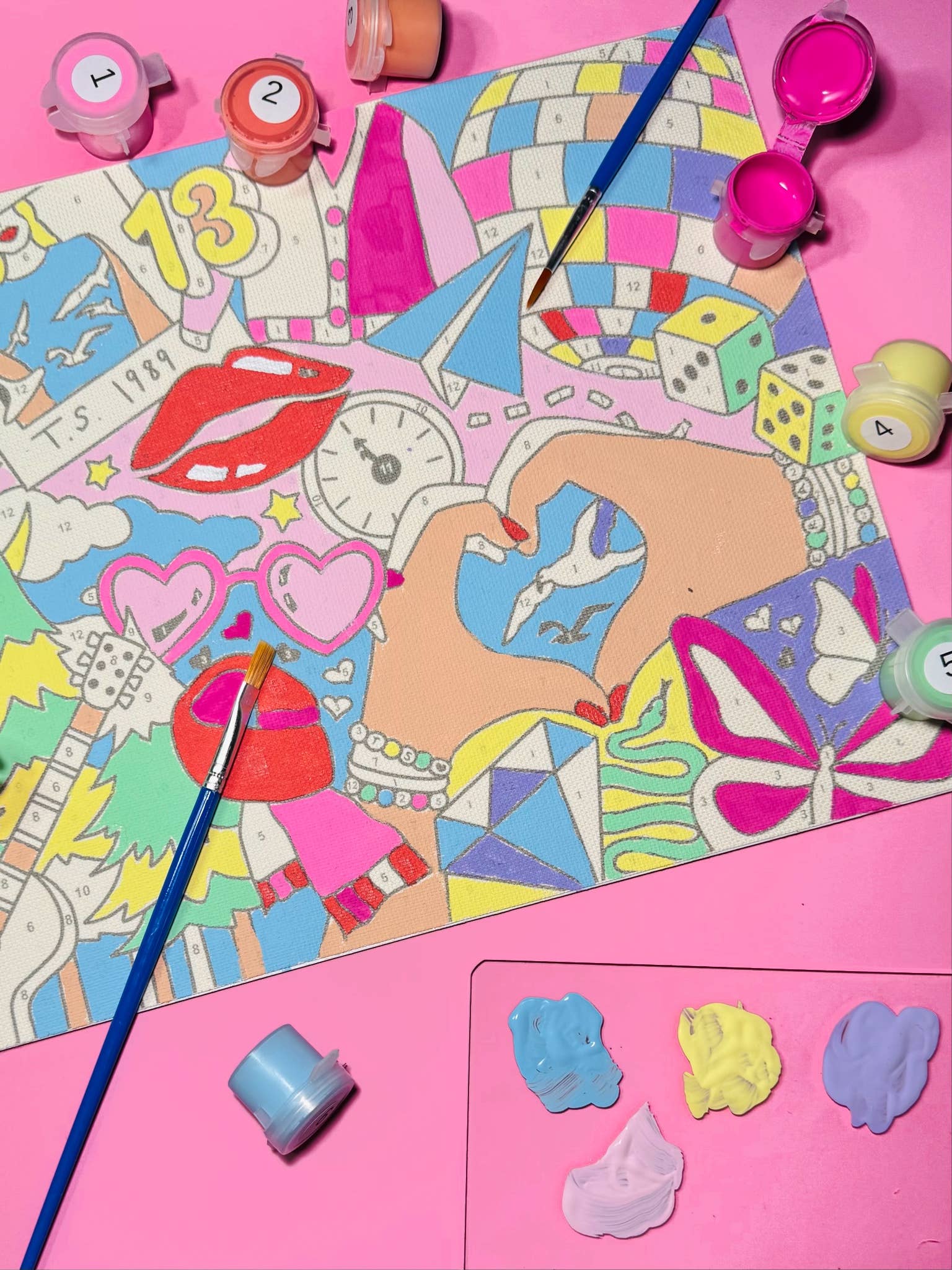 Taylor Swift themed paint by number canvas
