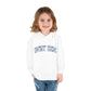 WRT ECC “Toile Varsity” Toddler Hoodie