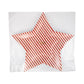 “Star Spangled Style” 🤩 Striped Star Shaped Paper Plate
