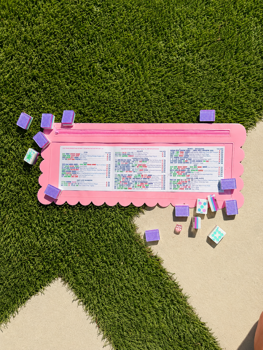 “Pool Rules” 🀄 Splash-Proof Mahjong Card Holder for Large NMJL Cards by Girl Tribe Co
