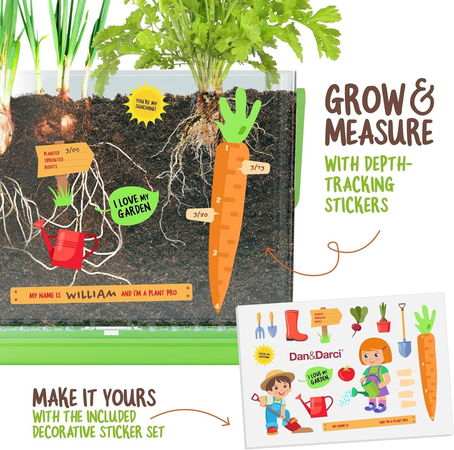 "Down to Earth" 🌱 Root Viewer Science Garden Kit by Dan&Darci