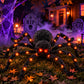 "Porch Prowler" 🕷️ 4 Ft Light-Up Fuzzy Black Spider Halloween Decoration by Cake Candy Supply