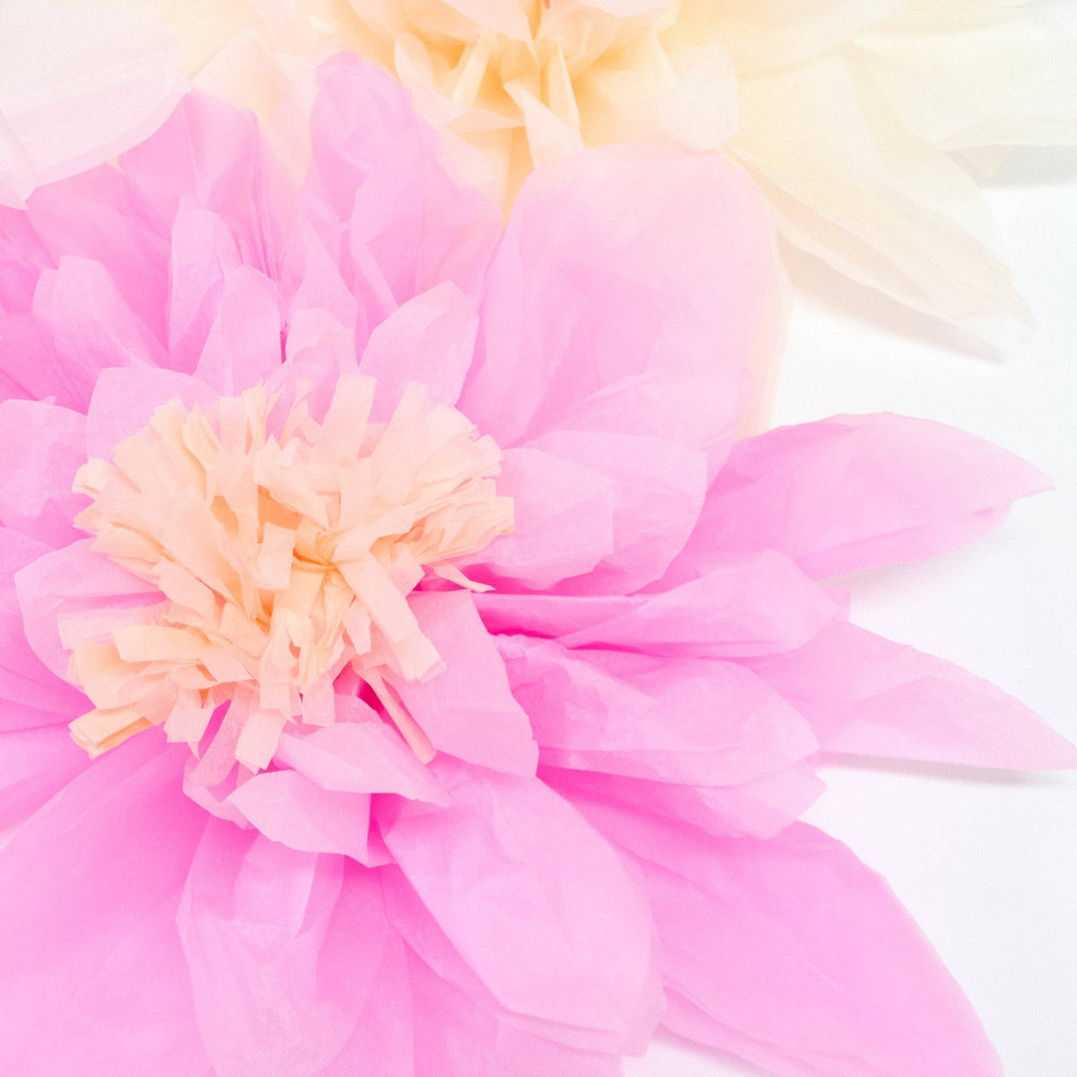 "Flower Power" 🌸 Garden Giant Garland by Meri Meri