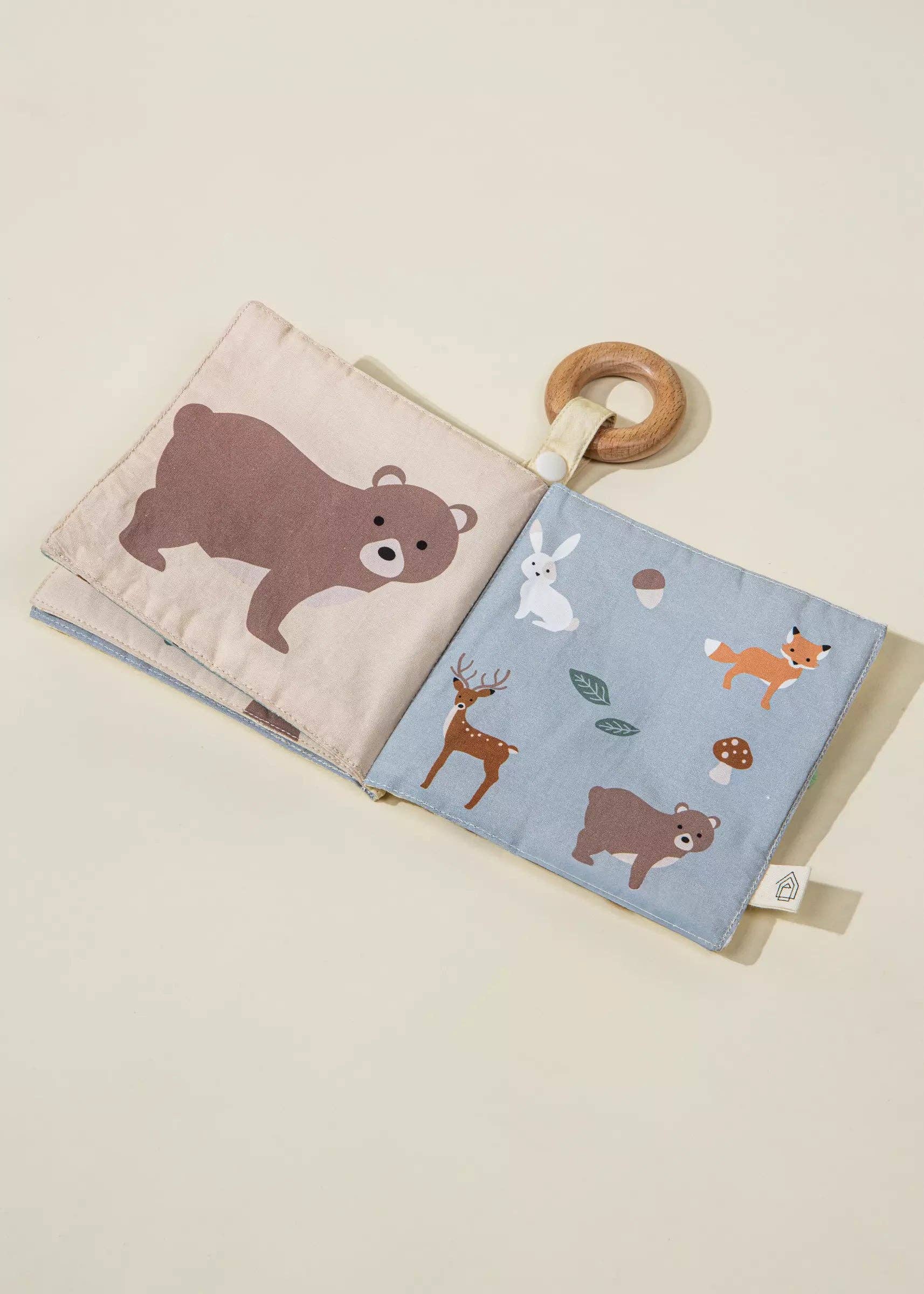 Baby developmental toy kit for hand-eye coordination