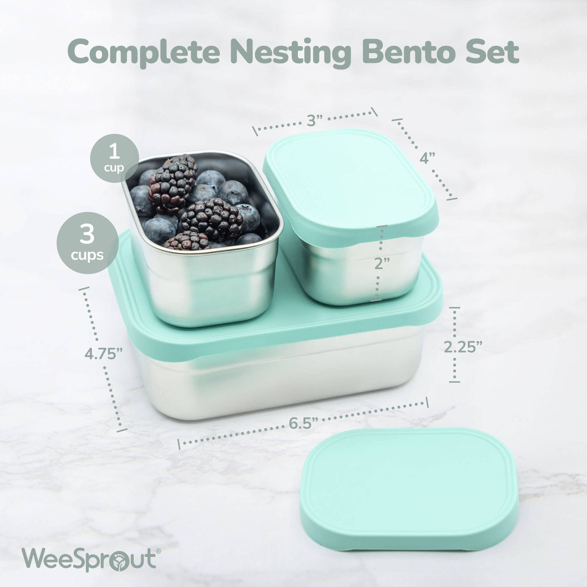 "Packed with Purpose" 🍱 Stainless Steel Bento Box Lunch Set with Silicone Lids by WeeSprout