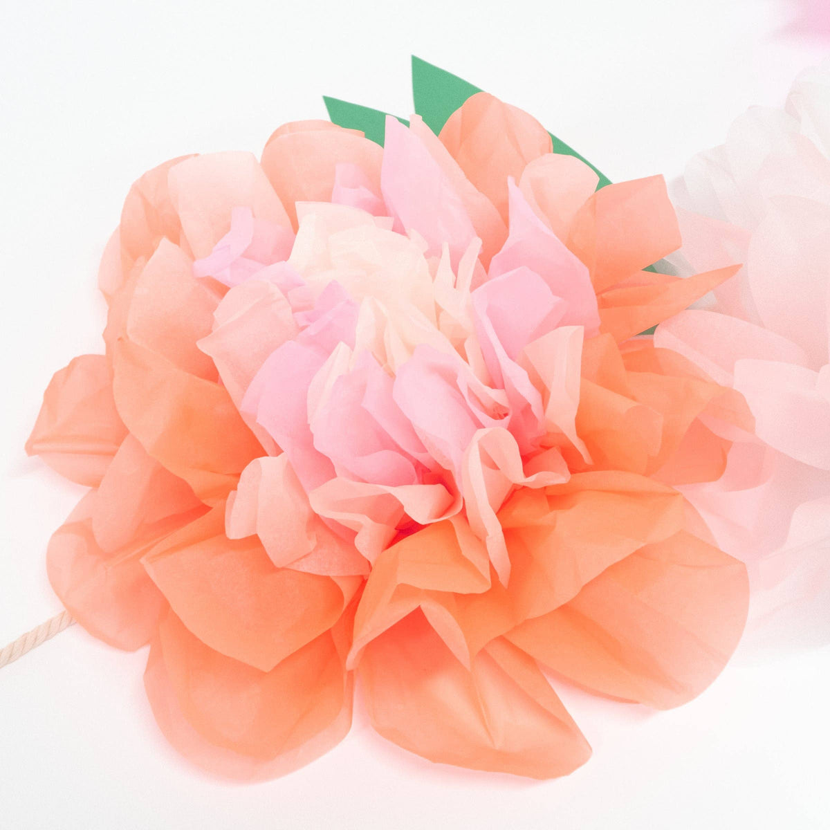 "Flower Power" 🌸 Garden Giant Garland by Meri Meri