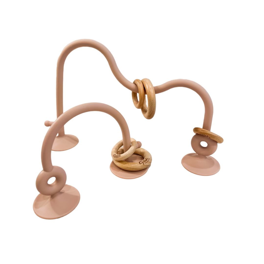 Baby playing with silicone and beechwood suction toy