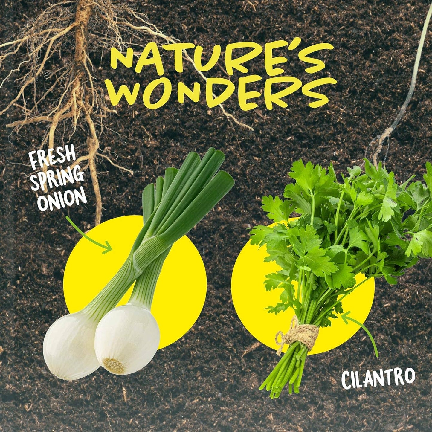 "Down to Earth" 🌱 Root Viewer Science Garden Kit by Dan&Darci