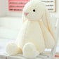 40cm Custom Named Embroidered Plush Bunny – Personalized Easter Gift for Kids and Adults