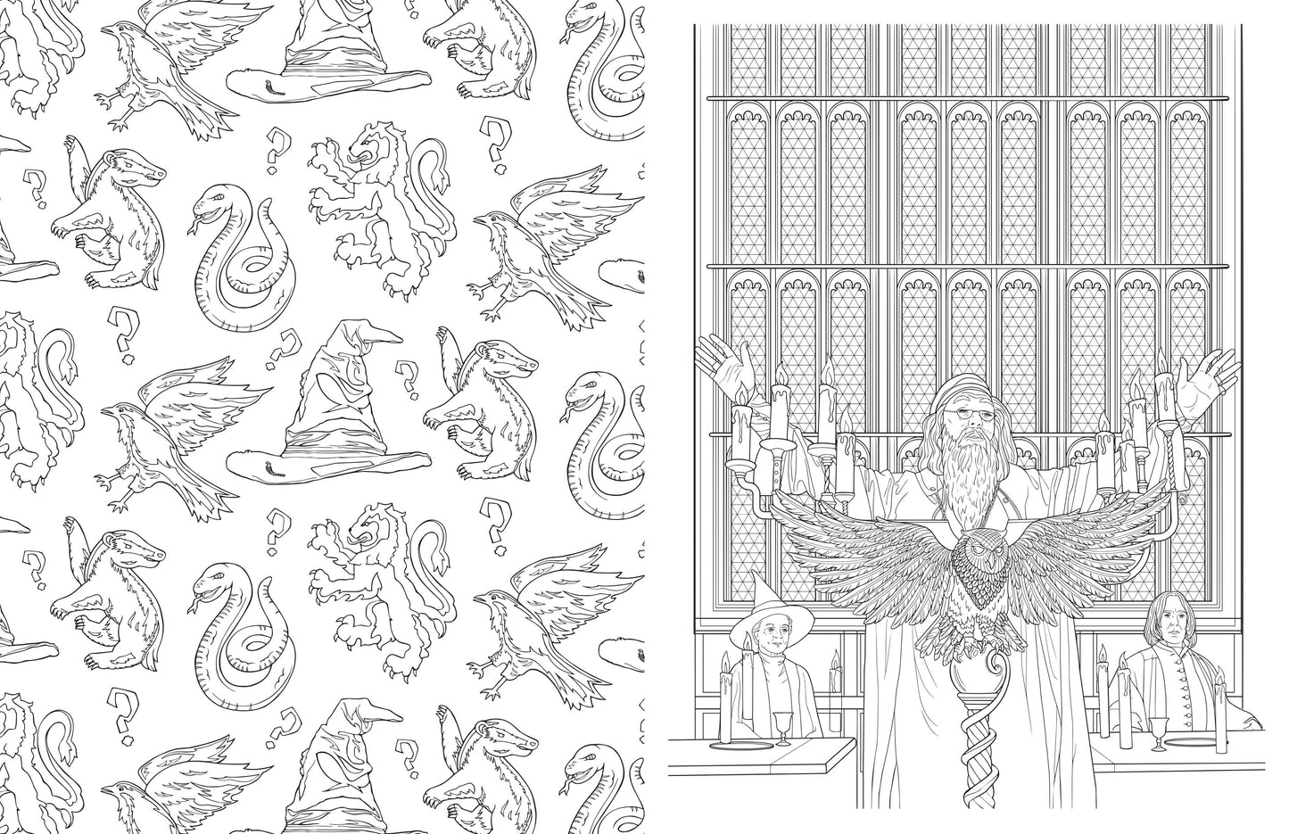 Inside pages of Harry Potter coloring book