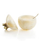 Resin Pomegranate Honey Dish: Gold
