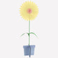 "Bloom Boom" 🌸 Large Stand-Up Flower Decorations by Meri Meri