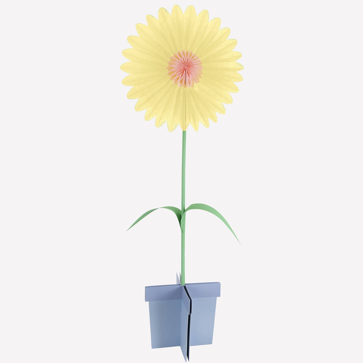 "Bloom Boom" 🌸 Large Stand-Up Flower Decorations by Meri Meri