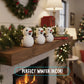 "Snow Squad" ⛄ Build-A-Snowman Outdoor Kit by Dan&Darci