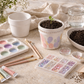 create your own plant kit for kids gardening