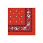 "Right on Track" 🚂 Thomas & Friends™ Red Bandana Lunch Napkins (24 ct) by Bonjour Fête
