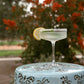 "Best Mom Ever" 🍸 Martini Mixer Gift Set by TEASPRESSA