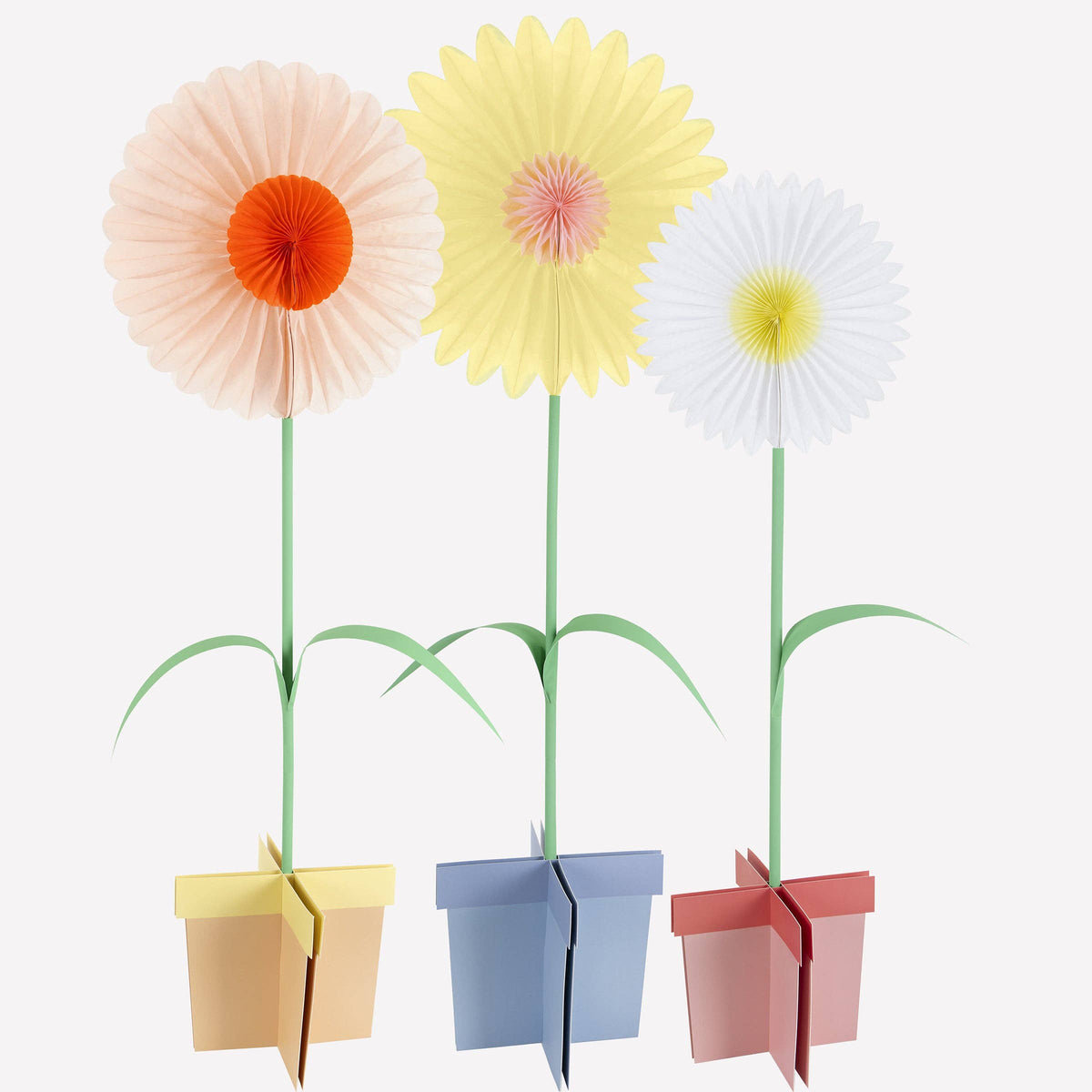 "Bloom Boom" 🌸 Large Stand-Up Flower Decorations by Meri Meri