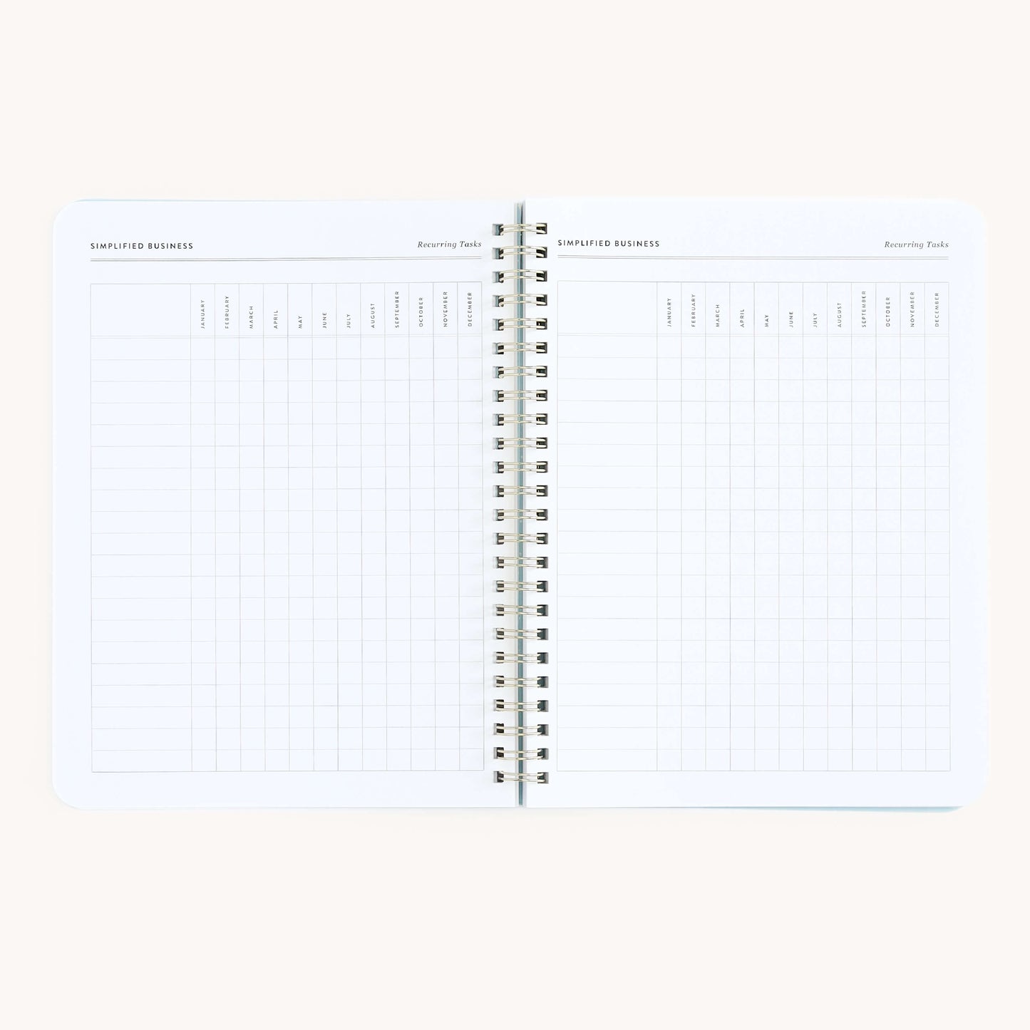 Workbook, Entrepreneurship