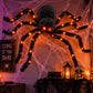 "Porch Prowler" 🕷️ 4 Ft Light-Up Fuzzy Black Spider Halloween Decoration by Cake Candy Supply