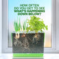 "Down to Earth" 🌱 Root Viewer Science Garden Kit by Dan&Darci