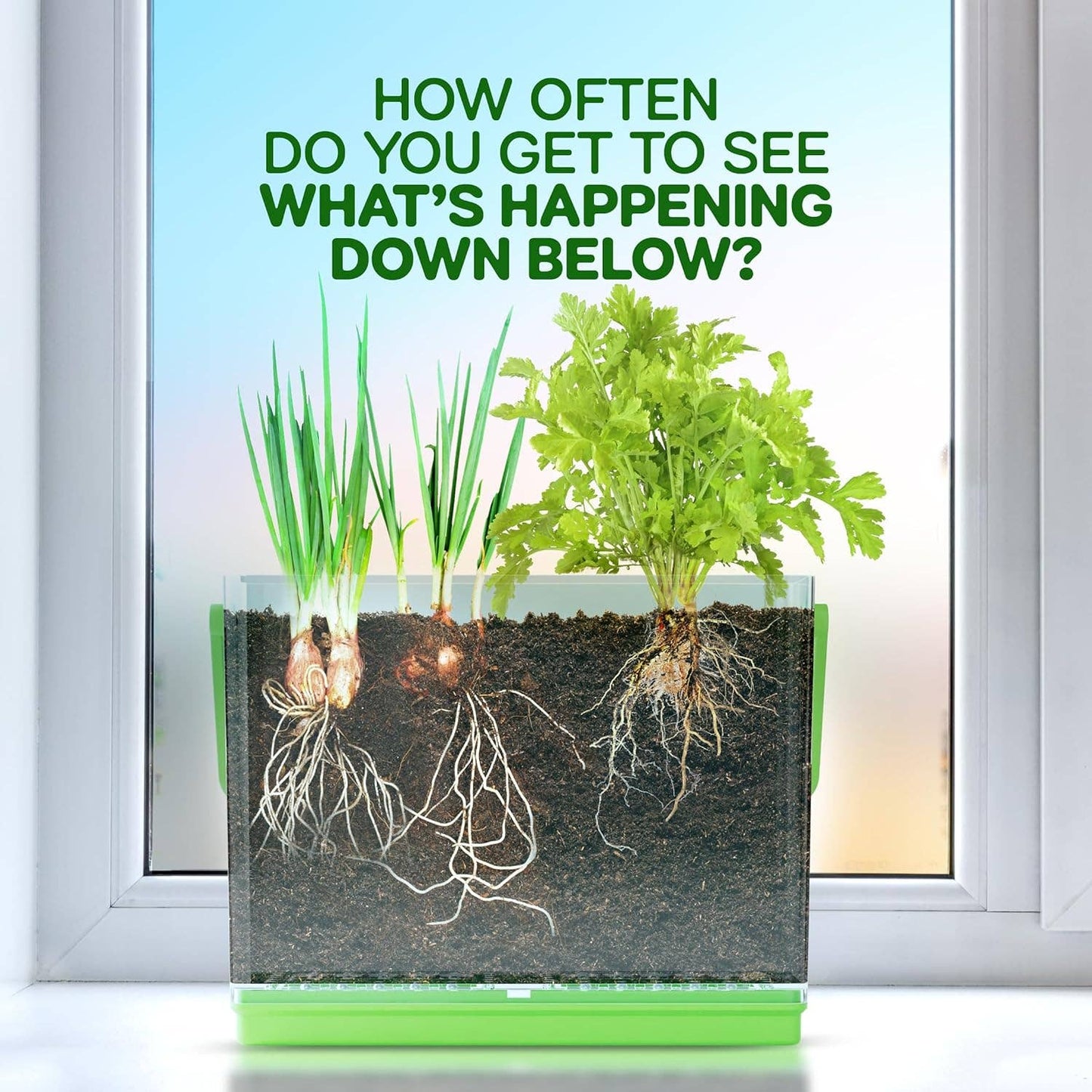 "Down to Earth" 🌱 Root Viewer Science Garden Kit by Dan&Darci
