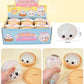 “Dumpling Drama” 🥟 Mystery Mini Squishy Dumpling Stress Toy by Auraquise