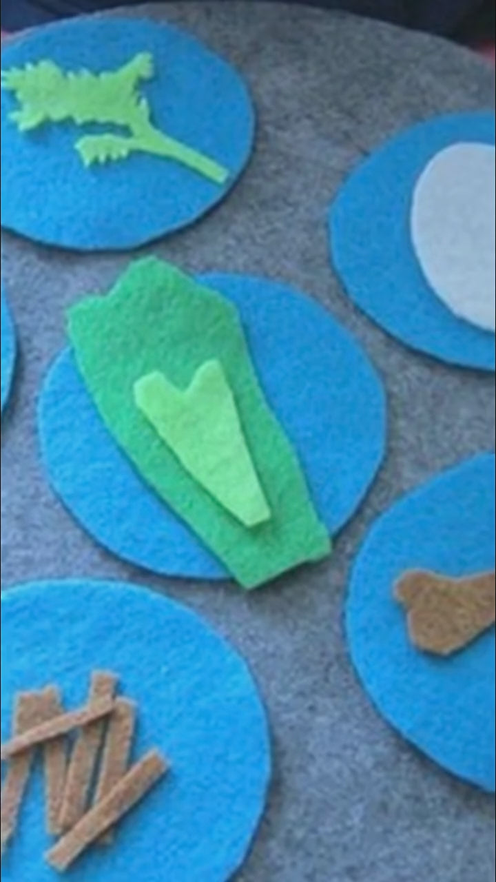 Felt Passover Seder plate craft kit for kids